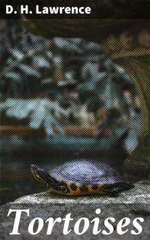 Читать Tortoises - D. H. Lawrence