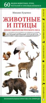 Читать Животные и птицы. Дикие обитатели русского леса - Михаил Куценко