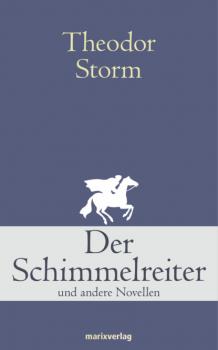Читать Der Schimmelreiter - Theodor Storm