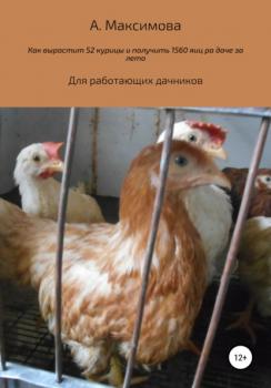 Читать Как вырастить 52 курицы и получить 1560 яиц на даче за лето. Для работающих дачников - Александра Олеговна Максимова