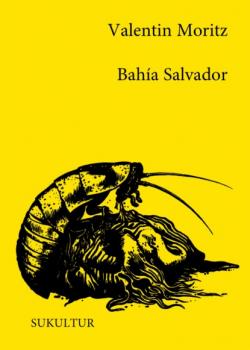 Читать Bahía Salvador - Valentin Moritz