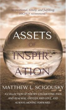 Читать Assets Of Inspiration - Matthew L. Scigousky