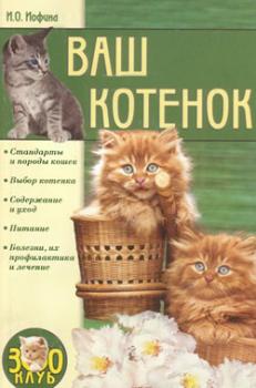 Читать Ваш котенок - Ирина Иофина
