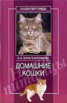 Читать Домашние кошки - Екатерина Константинова