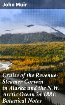 Читать Cruise of the Revenue-Steamer Corwin in Alaska and the N.W. Arctic Ocean in 1881: Botanical Notes - John Muir