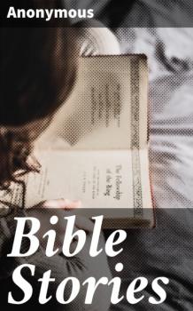 Читать Bible Stories - Anonymous