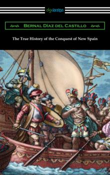 Читать The True History of the Conquest of New Spain - Bernal Diaz del Castillo