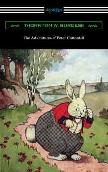 Читать The Adventures of Peter Cottontail - Thornton W. Burgess