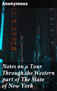 Читать Notes on a Tour Through the Western part of The State of New York - Anonymous