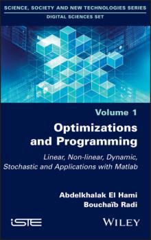 Читать Optimizations and Programming - Abdelkhalak El Hami