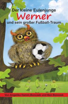 Читать Der kleine Eulenjunge Werner und sein großer Fußball-Traum - Angelika Hamm-Bonczek