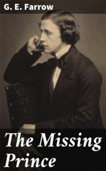 Читать The Missing Prince - G. E. Farrow