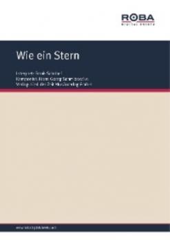 Читать Wie ein Stern - Dieter Lietz