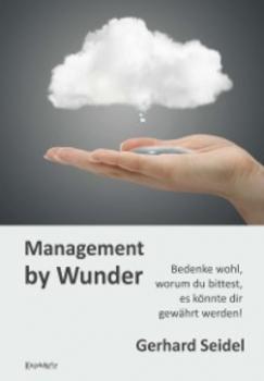 Читать Management by Wunder - Gerhard Seidel