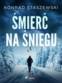 Читать Śmierć na śniegu - Konrad Staszewski