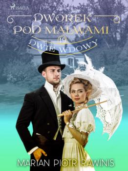 Читать Dworek pod Malwami 19 - Dwie wdowy - Marian Piotr Rawinis
