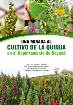 Читать Una mirada al cultivo de la quinua en el departamento de Boyacá - Ana Cruz Morillo Coronado