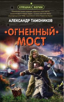 Читать Огненный мост - Александр Тамоников