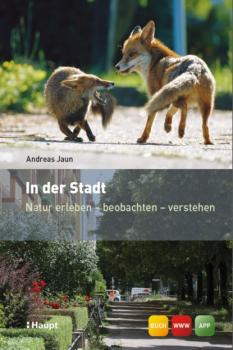 Читать In der Stadt - Andreas Jaun